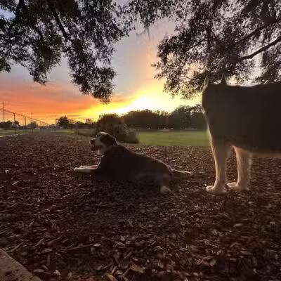 Letty Towles Dog Park - Ocala, FL