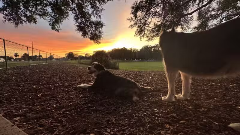 Letty Towles Dog Park - Ocala, FL