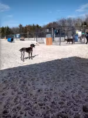Ocean City Dog Park - Ocean City, NJ
