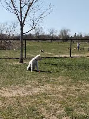 Wolf Hill Recreation Area - Oceanport, NJ