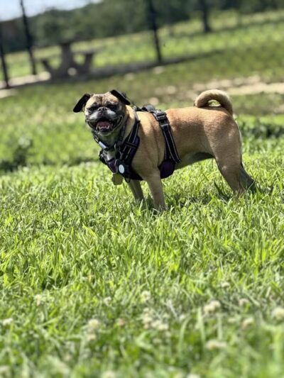 Wolf Hill Recreation Area - Oceanport, NJ