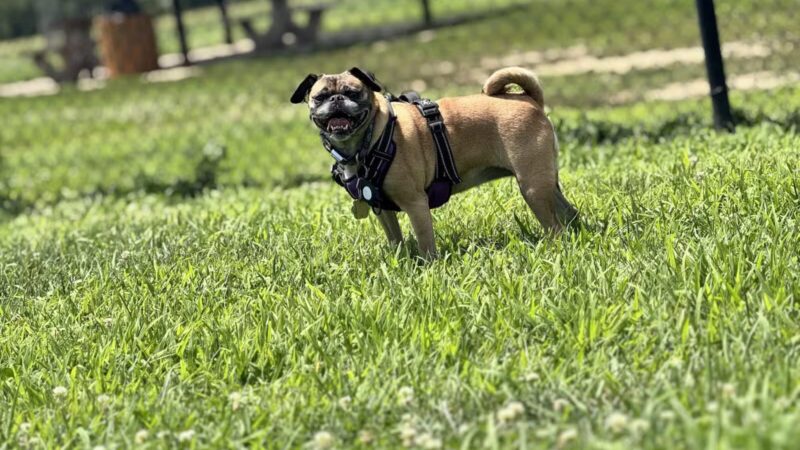 Wolf Hill Recreation Area - Oceanport, NJ