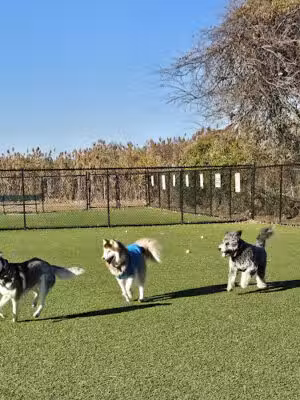 Oceanside Park - Oceanside, NY