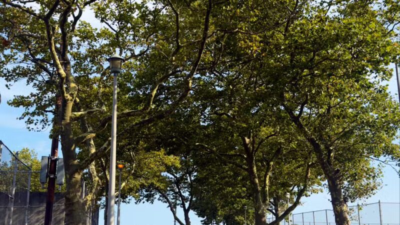 Oceanside Park - Oceanside, NY