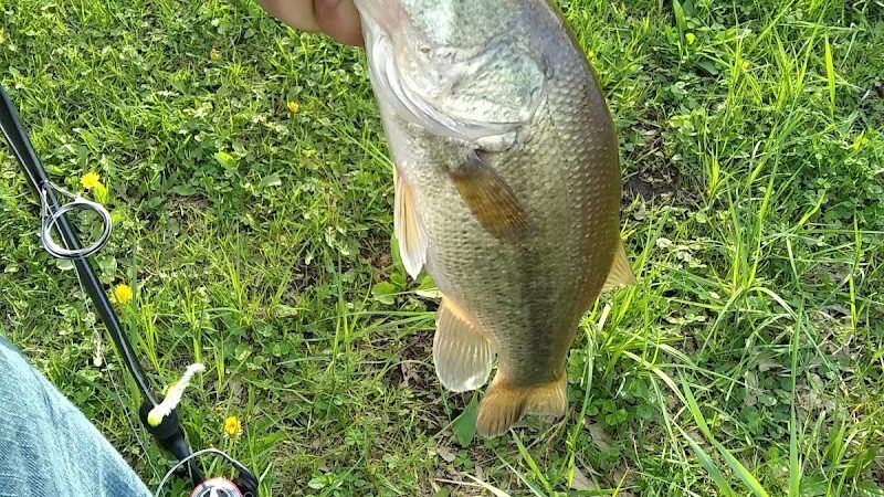 Oelwein City Park - Oelwein, IA