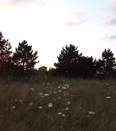 Meridian Township Private Large Dog Park - Okemos, MI