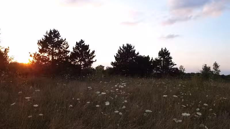 Meridian Township Private Large Dog Park - Okemos, MI