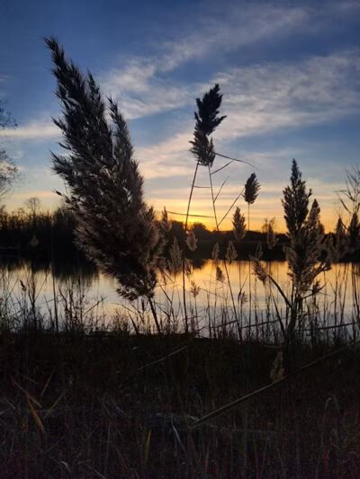 Meridian Township Private Large Dog Park - Okemos, MI