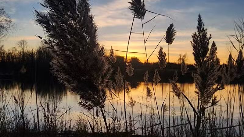 Meridian Township Private Large Dog Park - Okemos, MI