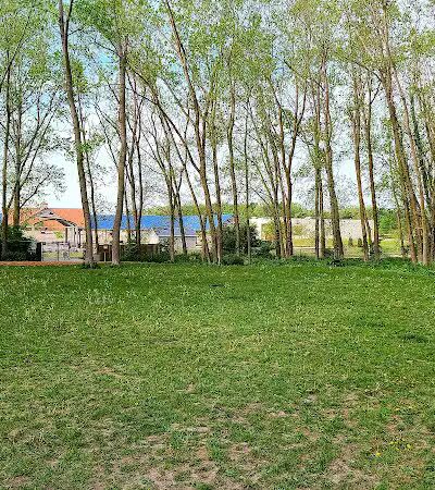 Meridian Township Private Large Dog Park - Okemos, MI