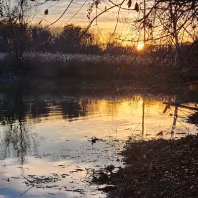 Meridian Township Private Large Dog Park - Okemos, MI