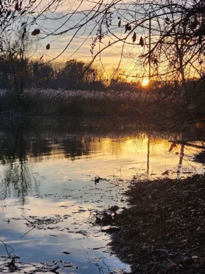 Meridian Township Private Large Dog Park - Okemos, MI