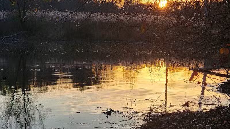 Meridian Township Private Large Dog Park - Okemos, MI