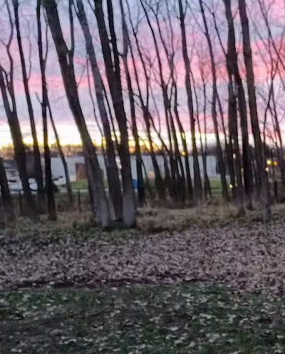 Meridian Township Private Large Dog Park - Okemos, MI