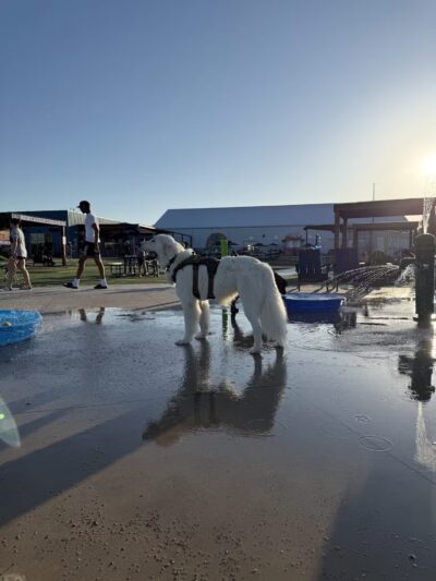 Bar K - Oklahoma City, OK