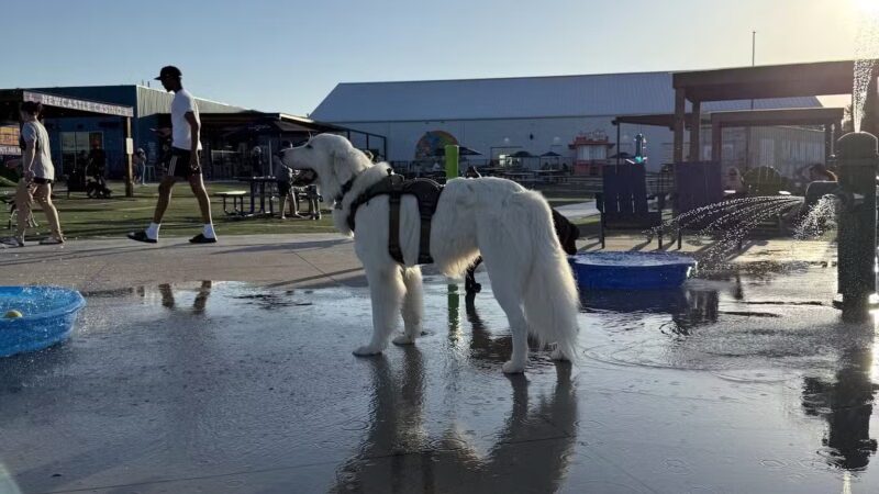 Bar K - Oklahoma City, OK