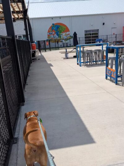 Bar K - Oklahoma City, OK