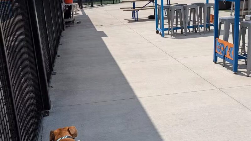 Bar K - Oklahoma City, OK