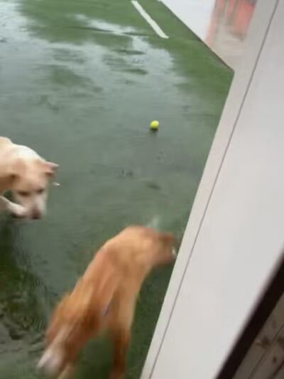 Bar K - Oklahoma City, OK