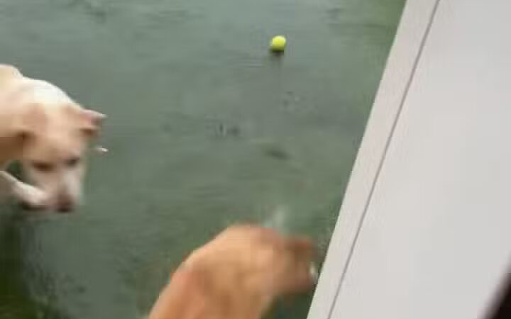 Bar K - Oklahoma City, OK