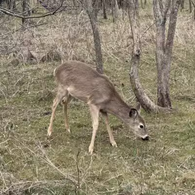 Bluff Creek Park - Oklahoma City, OK