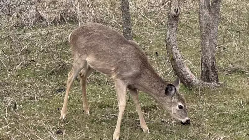 Bluff Creek Park - Oklahoma City, OK