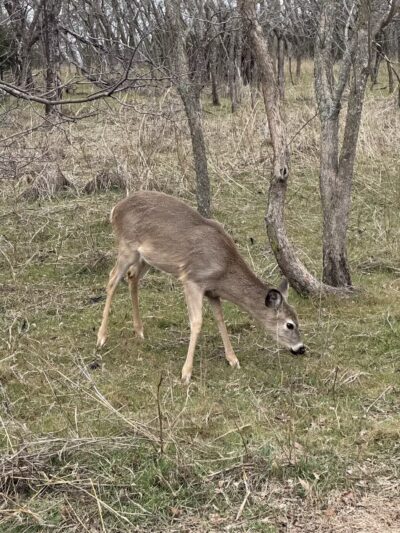 Bluff Creek Park - Oklahoma City, OK