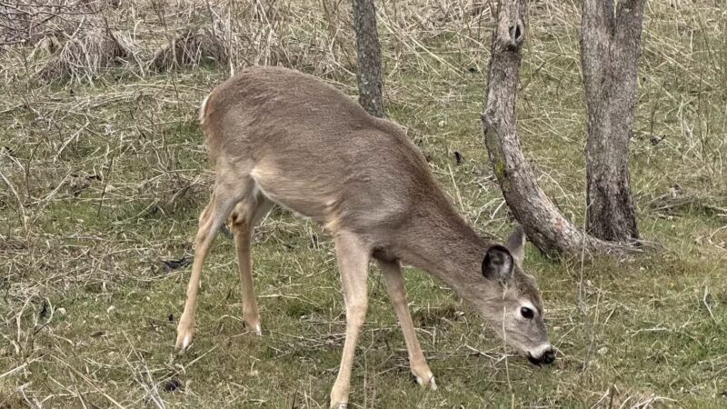 Bluff Creek Park - Oklahoma City, OK
