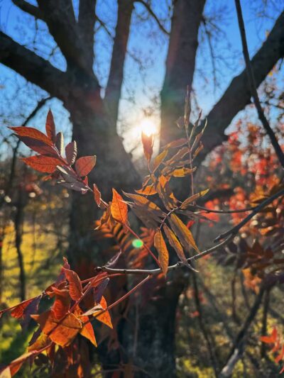 Bluff Creek Park - Oklahoma City, OK