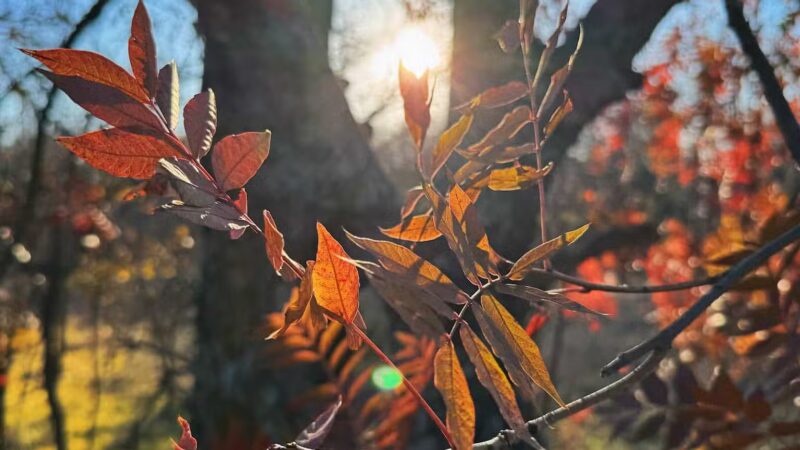 Bluff Creek Park - Oklahoma City, OK