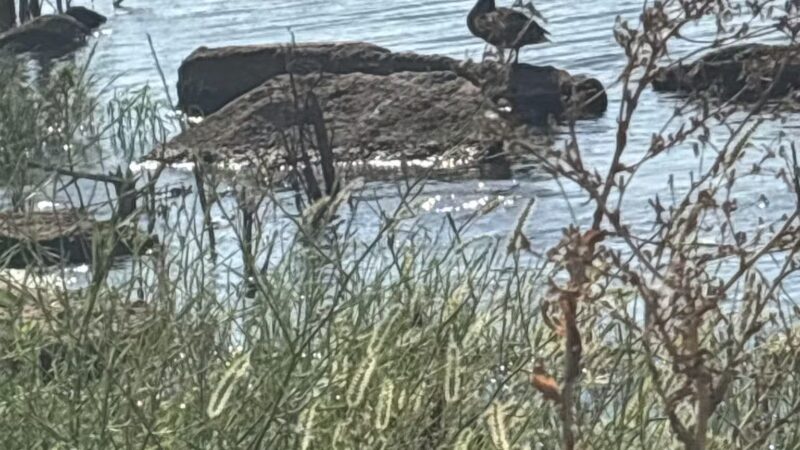 Lakeshore Park - Oklahoma City, OK