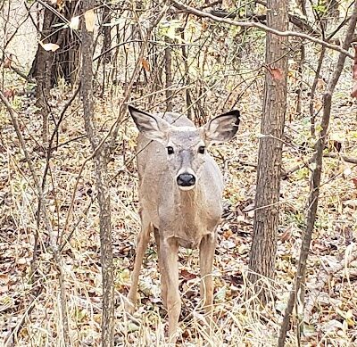 Bluff Creek Parking Lot - Oklahoma City, OK