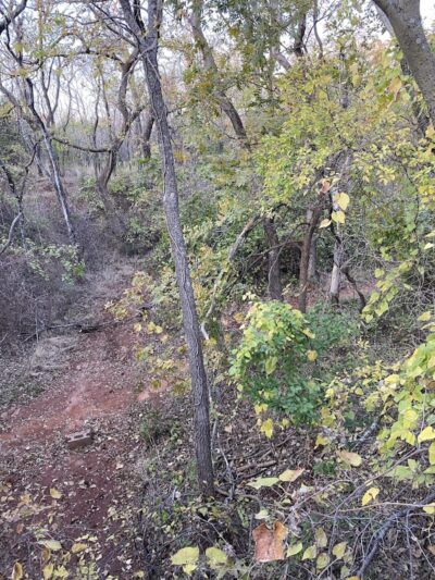 Bluff Creek Parking Lot - Oklahoma City, OK