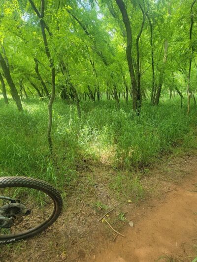Bluff Creek Parking Lot - Oklahoma City, OK