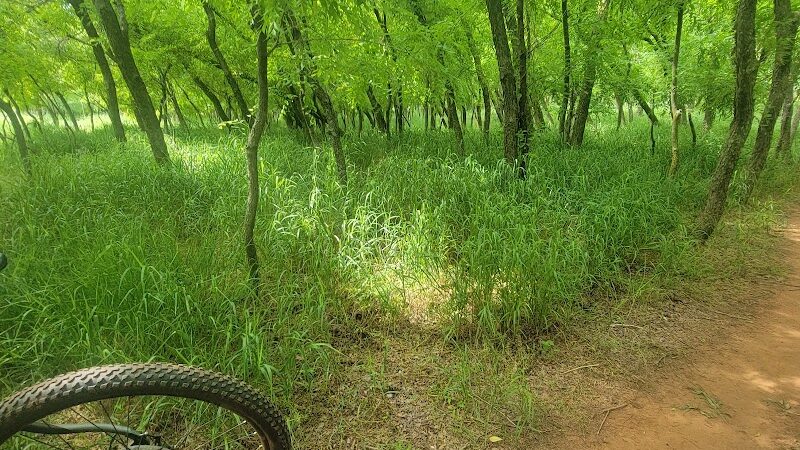 Bluff Creek Parking Lot - Oklahoma City, OK