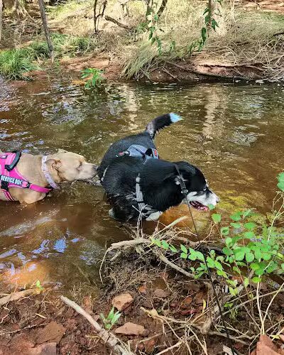 Bluff Creek Parking Lot - Oklahoma City, OK