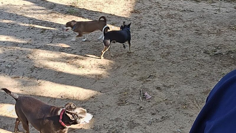 The Dog Park at Saint John's - Oklahoma City, OK
