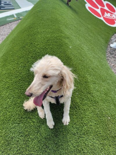 Bar K - Oklahoma City, OK