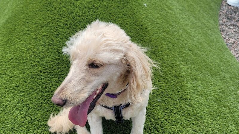 Bar K - Oklahoma City, OK