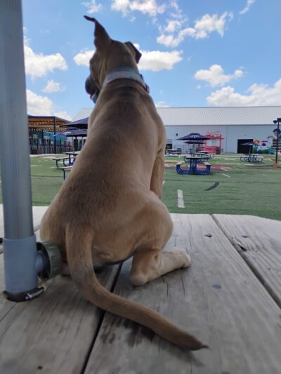 Bar K - Oklahoma City, OK