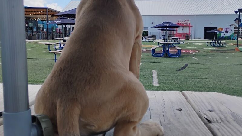 Bar K - Oklahoma City, OK