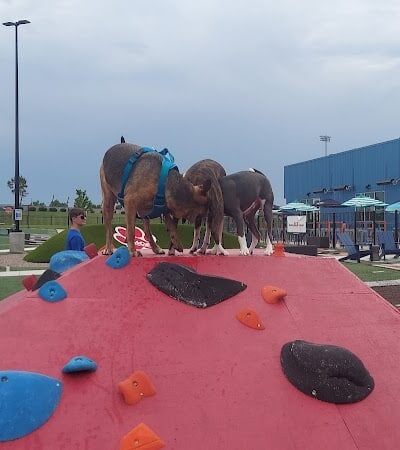 Bar K - Oklahoma City, OK