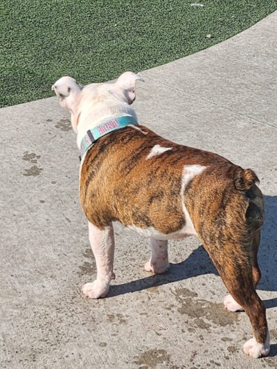 Bar K - Oklahoma City, OK