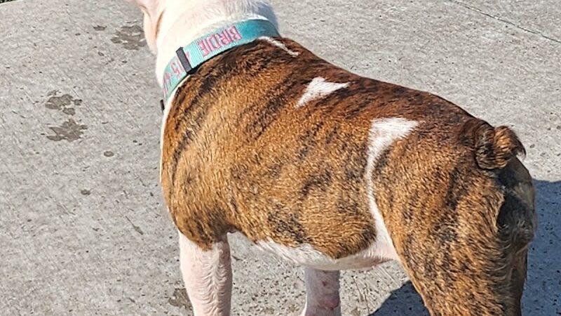 Bar K - Oklahoma City, OK