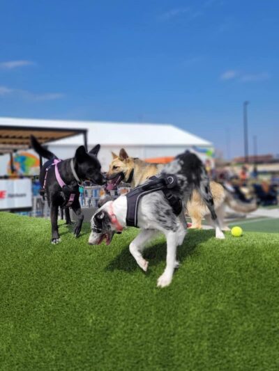 Bar K - Oklahoma City, OK