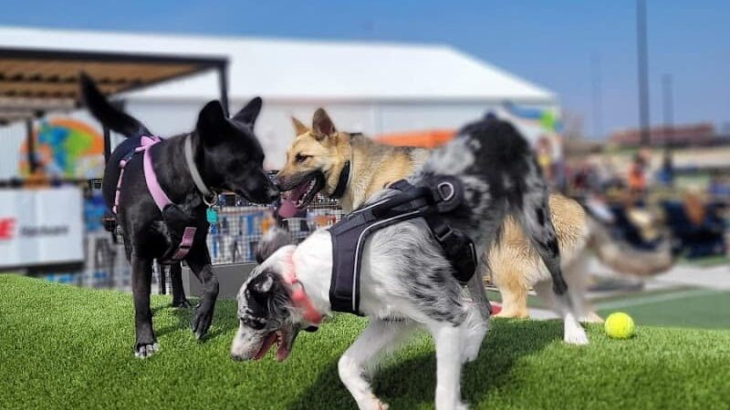 Bar K - Oklahoma City, OK