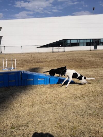 Barks & Brews Dog Park - Oklahoma City, OK