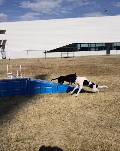 Barks & Brews Dog Park - Oklahoma City, OK