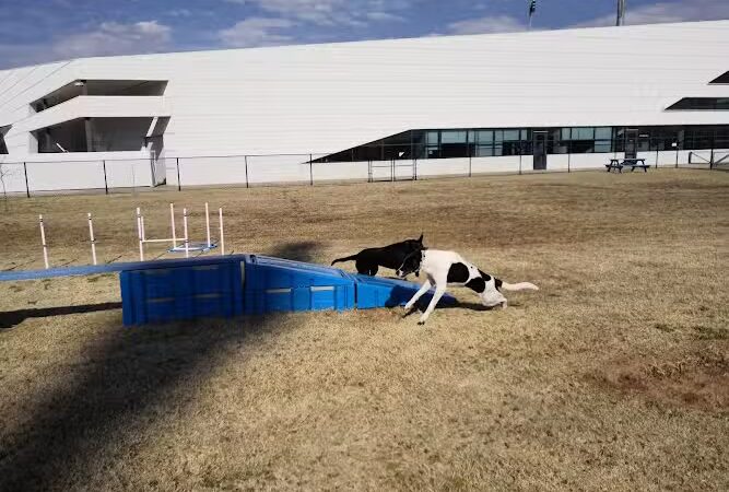 Barks & Brews Dog Park - Oklahoma City, OK