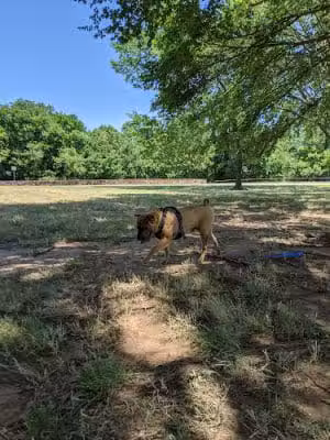 Bluff Creek Park - Oklahoma City, OK
